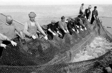 Редчайшие исторические фотографии рыбной промышленности Камчатки